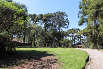 Fototapeta premium The beautiful landscape found in the Caracol Park in Canela in Rio Grande do Sul.