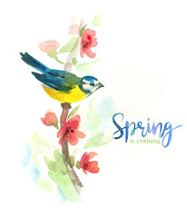 Gentle watercolor background with titmouse