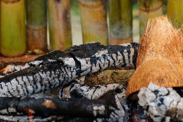 cooking rice in bamboo sticks