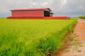 red barn in the field
