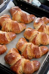 CROISSANT APPENA SFORNATI