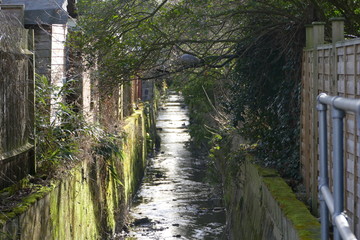 small stream in between rows of houses