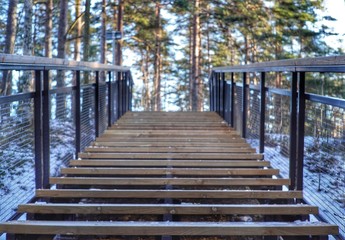 Drewniane schody w lesie, las, schody treningowe w lesie