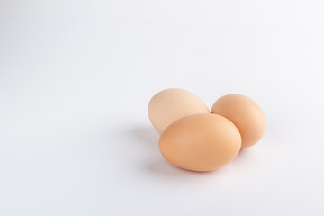 eggs on white background