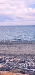 A rocky beach on the Black Sea in Batumi, Georgia. Quiet and empty background.