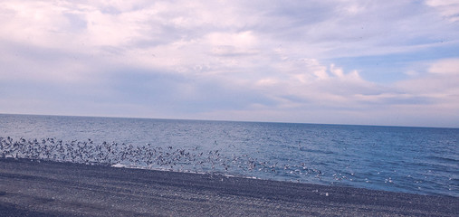 A rocky beach on the Black Sea in Batumi, Georgia. Quiet and empty background.