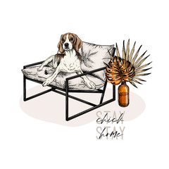 Hand drawn beagle dog lies in modern designer chair. Stay home. Vector engraved quarantine poster. Stay chick, stay at home. Covid-19 pandemic flyer. Palm leaf decorations.