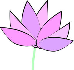 Naklejka premium Lotus flower.