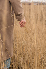 Woman's hand with beautiful manicure stroking pampas fluffy grass or reeds bush in field outdoors. Girl loves nature. Close up view. Slow motion.
