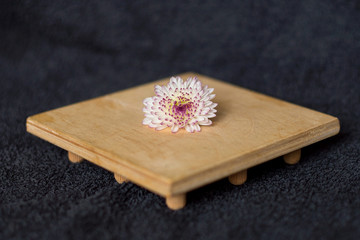 Still life with flowers