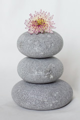 Fototapeta na wymiar Still life in the form of stones for massage