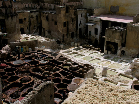 Morocco. Natural traditional tannery in Fez