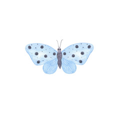 Light blue butterfly watercolor illustration isolated on the white background, simple hand drawn pattern