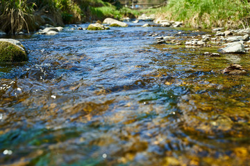 A small river in the spring. Clear water in the river on a sunny day, green banks and stones in the water