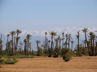 Morocco. The beginning of the desert