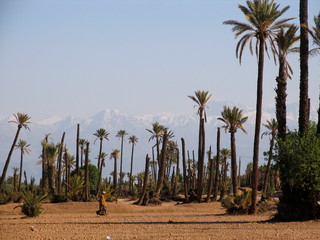 Morocco. The beginning of the desert