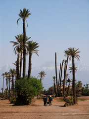 Morocco. The beginning of the desert