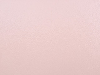 Fototapeta premium dry pink on wall texture background very sweet and clear
