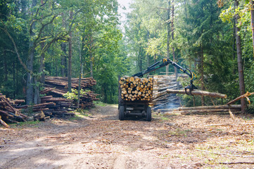 Short log truck, timber truck. Loading logs in the forest. Manipulator loader logs.
