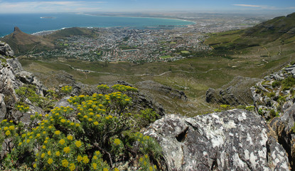 Fototapeta na wymiar Cape Town or Kaapstad - the legislative capital of South Africa.