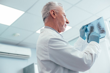 Careful doctor interpreting chest x-ray at work stock photo