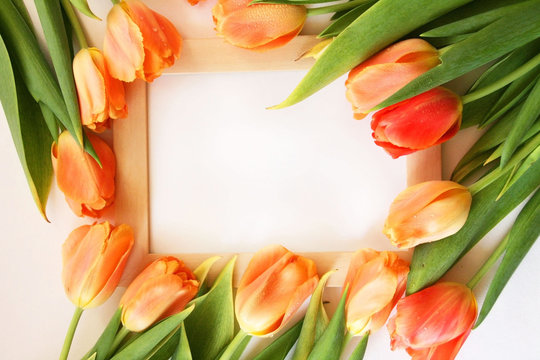 Bouquet of tulips and white mockup frame on white background. Easter or Birth Day greeting mock up. Spring frame mockup with place for text. 