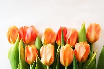Top view background with tulips flowers. Flowers composition.  Mockup card with plants. Mockup with postcard and flowers on white background.