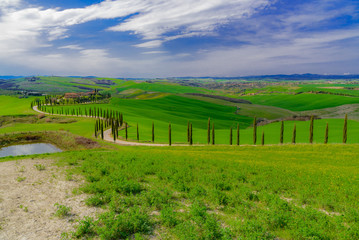 dream landscape in Tuscany in the hills of Siena