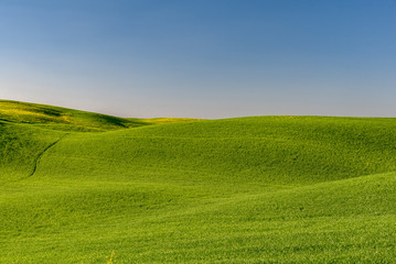 dream landscape in Tuscany in the hills of Siena