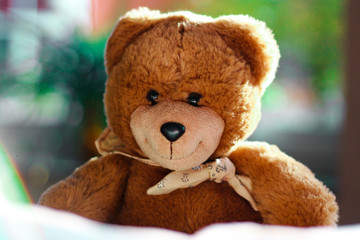 Lächelnder Teddybär