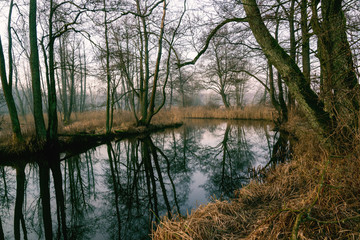 Rzeka Supraśl. Dolina Supraśli. Puszcza Knyszyńska, Podlasie, Polska