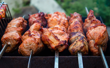 Barbecue with grilled shish kebabs close-up. Juicy meat on skewers is fried on coals.