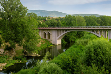 Two banks of the river with lush green vegetation are connected by a stone bridge with curly supports and metal railings.