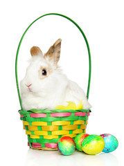 Rabbit in a basket with Easter eggs