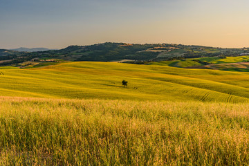 colors of the Tuscan countryside in the province of Siena