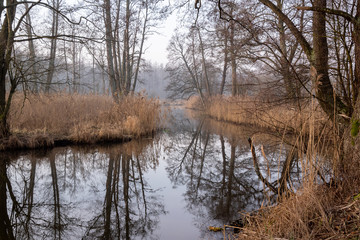 Rzeka Supraśl. Dolina Supraśli. Puszcza Knyszyńska, Podlasie, Polska