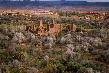Fototapeta na wymiar Ruinen einer Kasbah im Tal der Rosen in Marokko, Panorama