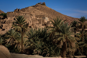 Fototapeta na wymiar Berberdorf in Marokko mit Palmenhain