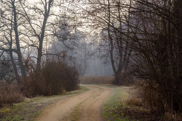 Rzeka Supraśl. Dolina Supraśli. Puszcza Knyszyńska, Podlasie, Polska