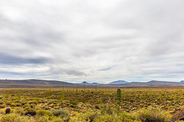 Roadtrip durch das wunderschöne Baja Kalifornien