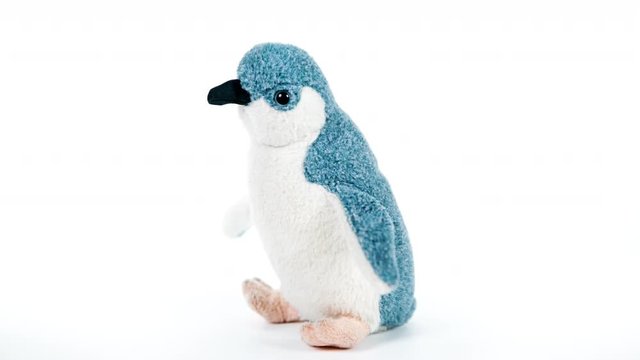 soft toy penguin turning around studio shot.