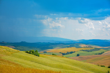 Fototapeta premium colors of the Tuscan countryside in the province of Siena
