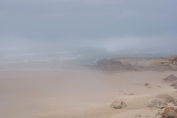 Misty coast
