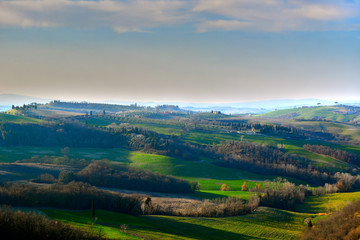 rolling hills of Siena in Tuscany