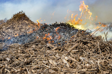 Soybean stubble, cornstalks and corn cobs burning in farm field. Concept of cleaning up flood damage ahead of spring planting season