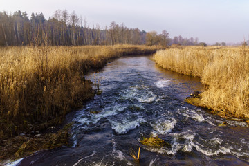 Rzeka Supraśl. Dolina Supraśli. Puszcza Knyszyńska, Podlasie, Polska