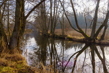 Rzeka Supraśl. Dolina Supraśli. Puszcza Knyszyńska, Podlasie, Polska