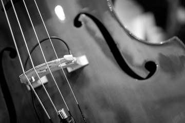 Dettaglio di un violino 