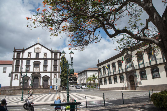 PORTUGAL MADEIRA FUNCHAL FLOWER CITY
