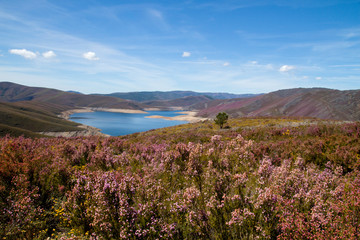 Springtime landscape